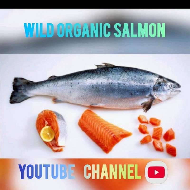 Wild Organic Salmon 