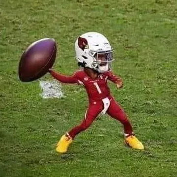 NFL Memes