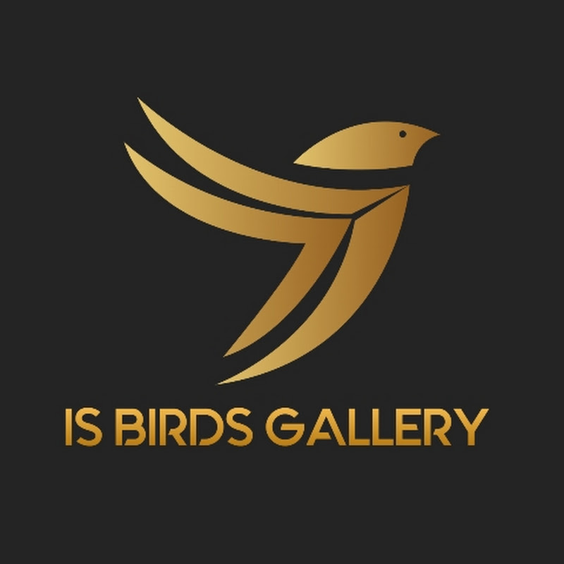 IS BIRDS GALLERY