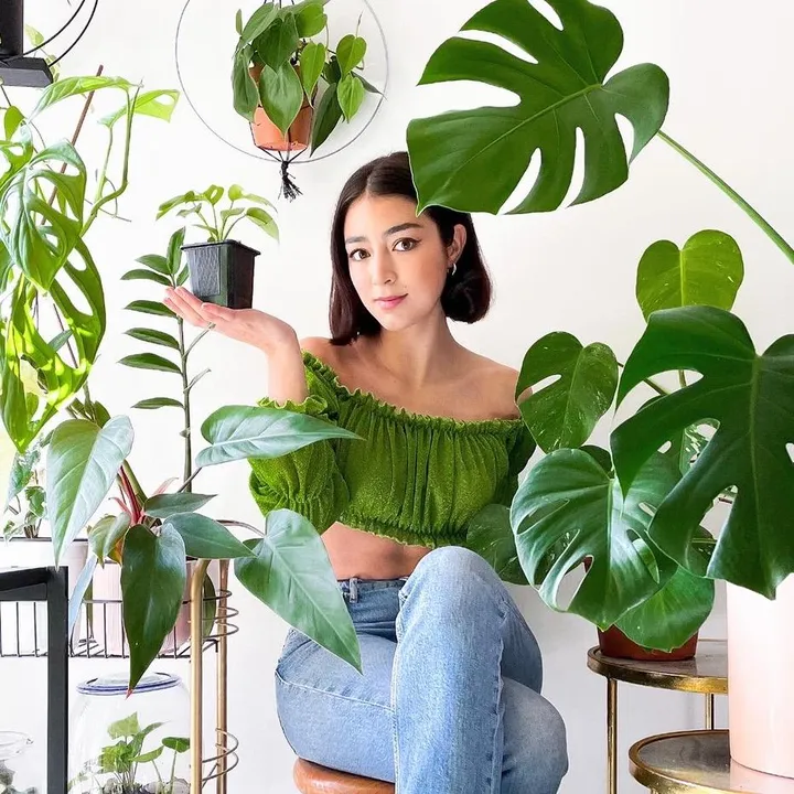 Mira Mis Plantas 🪴
