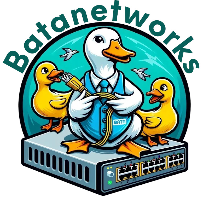 BataNetworks