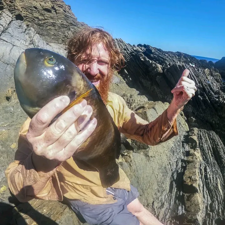 the bearded bushranger