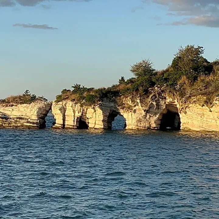 marissanakaya
