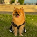 𝗟𝘂𝗻𝗮 𝗕𝗲𝗹𝗹𝗲 ☾