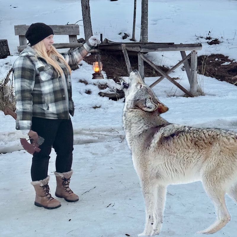 Wild Wilderness Homestead