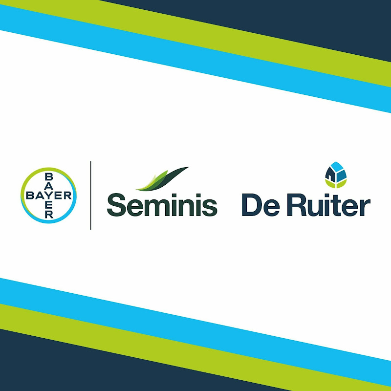 Seminis & De Ruiter Polska