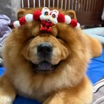Tayu & Taro aka 大鱼大肉