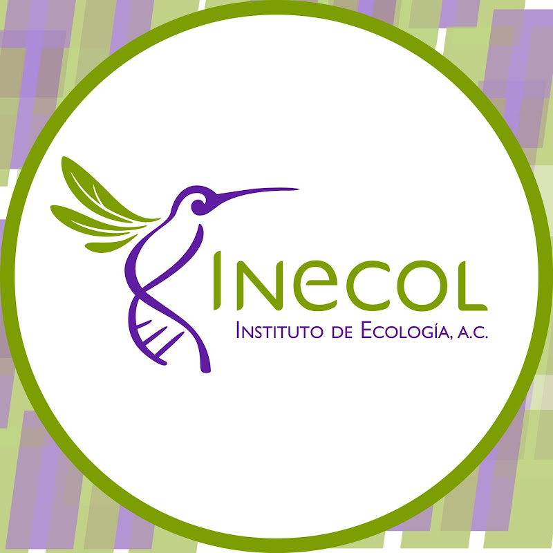 El Instituto de Ecología , INECOL