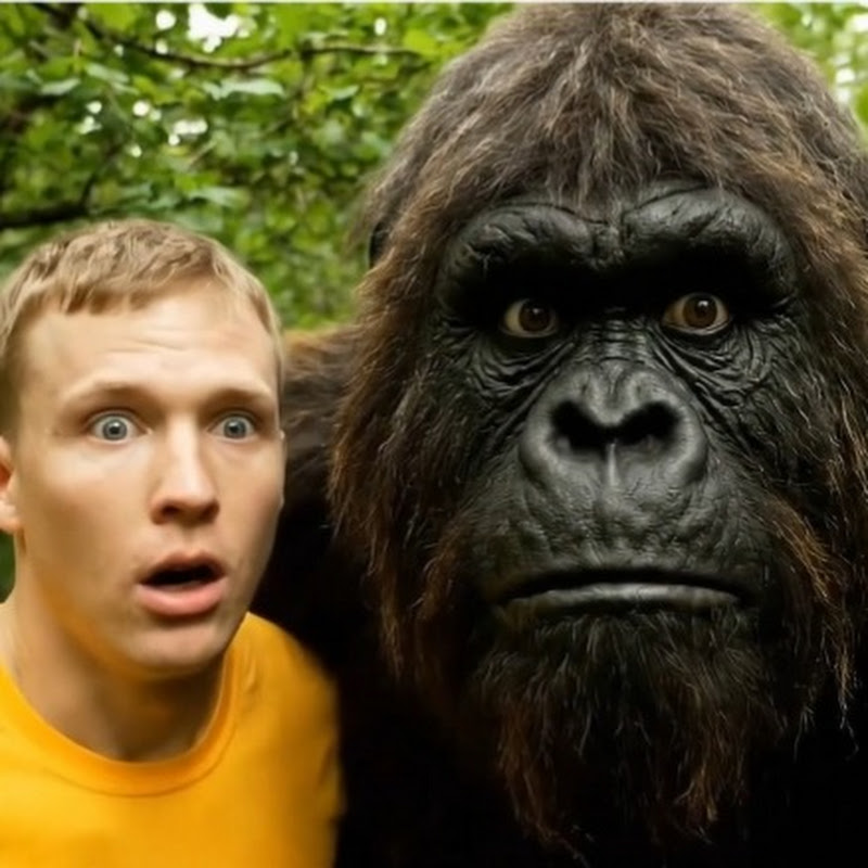 Bigfoot Feed
