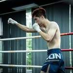 Vi Anh