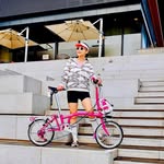 𝑱𝒐𝒄𝒆𝒍𝒚𝒏 𝑳𝒐𝒘 비