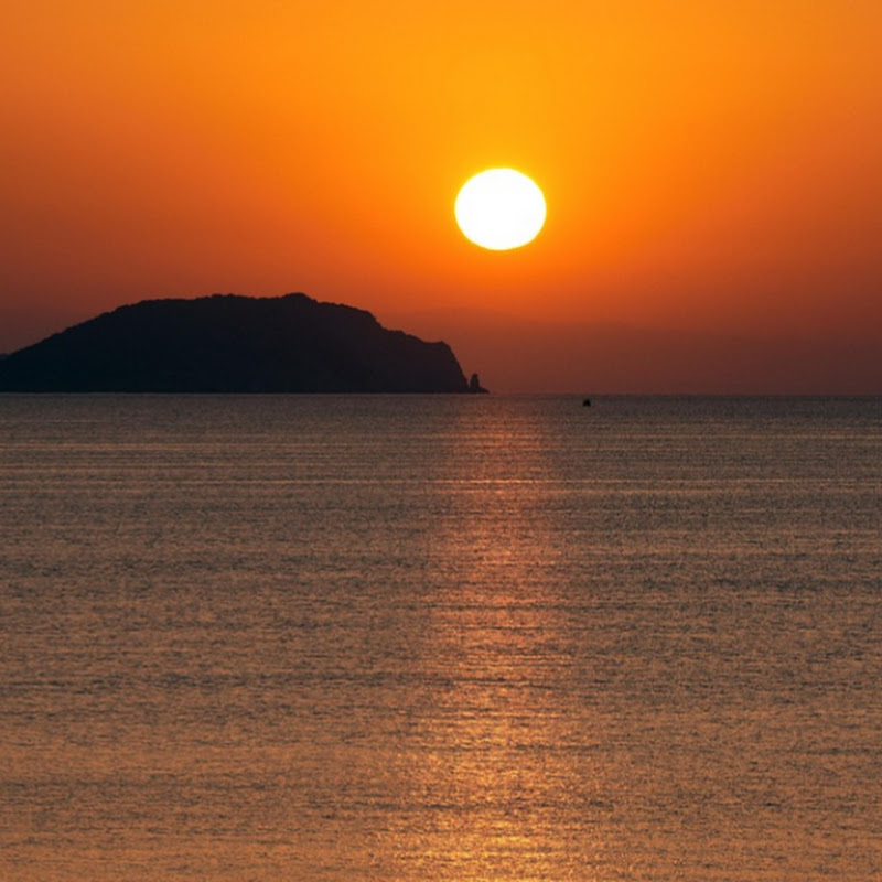 Τελευταία τηλεοπτικά νέα