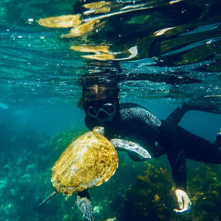 Youngoceanexplorers
