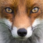 Recycled jewelry 💚♻ Leuven, BE