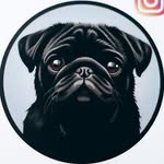 The Grumble Queens — Lady P, Romy & Arobase (& Replay 🌈)