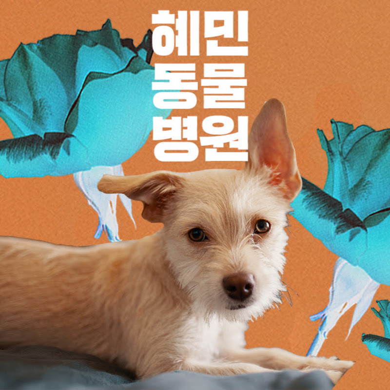 난치병 동물 침치료