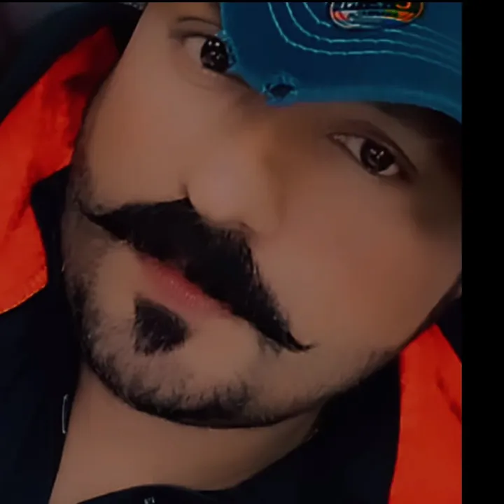 👑🐅🦁ببر شير👑