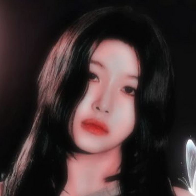 REX:IN 렉신