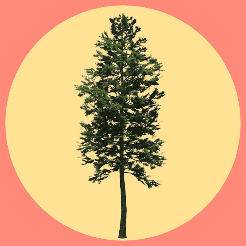 SpruceCC