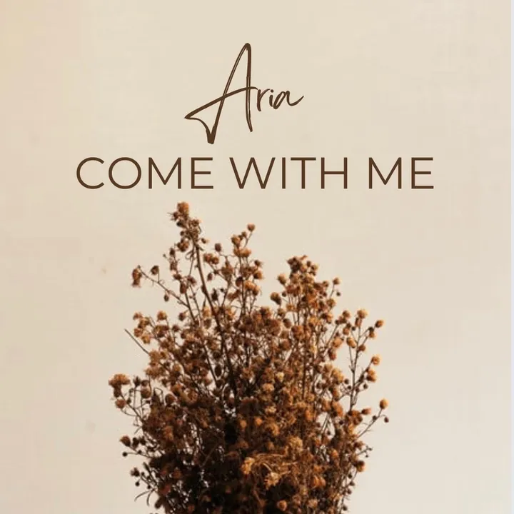 ᴀʀɪᴀ | sʜᴏᴘ ᴅᴇᴄᴏ ᴡɪᴛʜ ᴍᴇ 💫