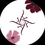 Qatari Beauty By Dana Alghorab 🇶🇦🇵🇸