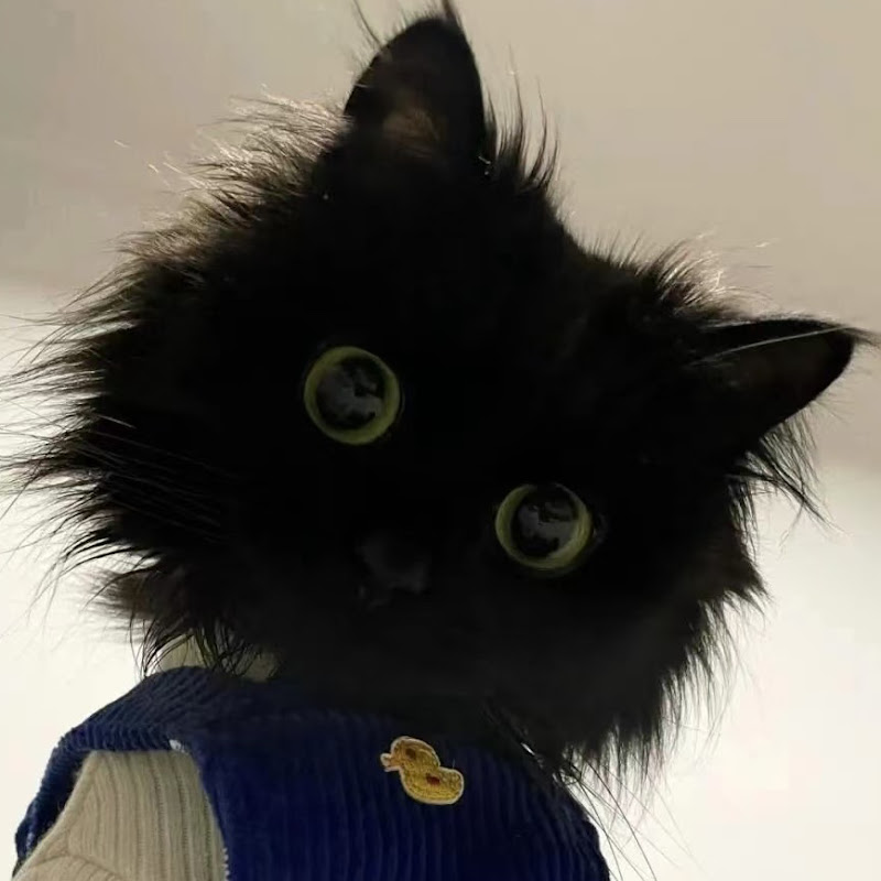 Petfunnyfoolery