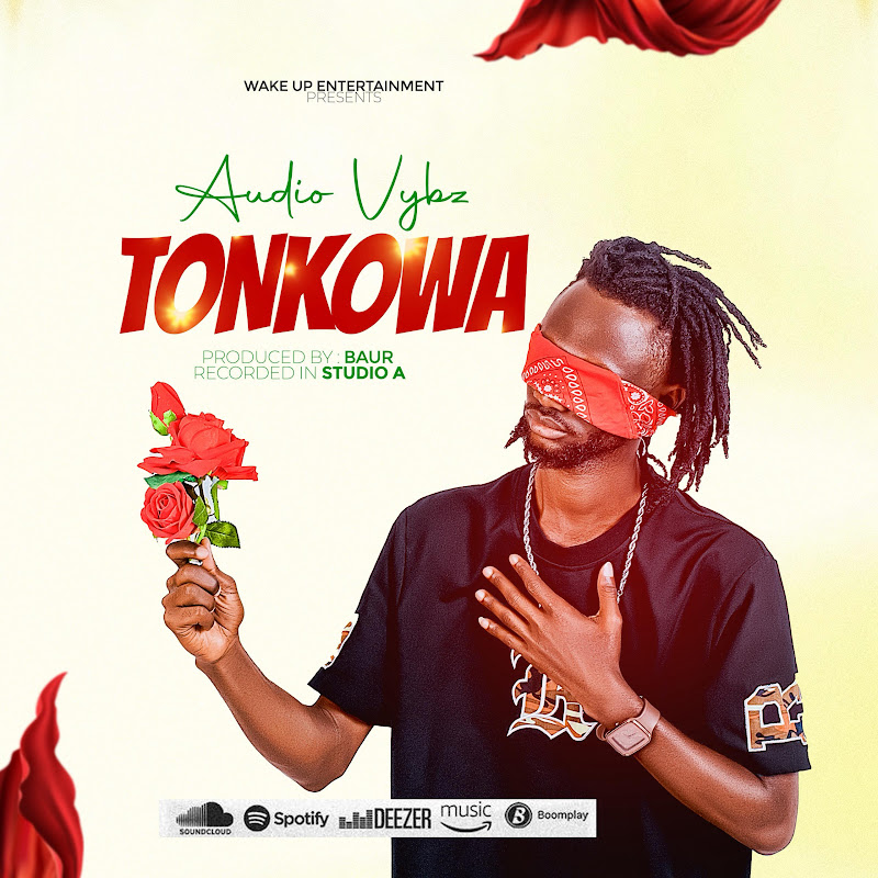 AUDIO VYBZ