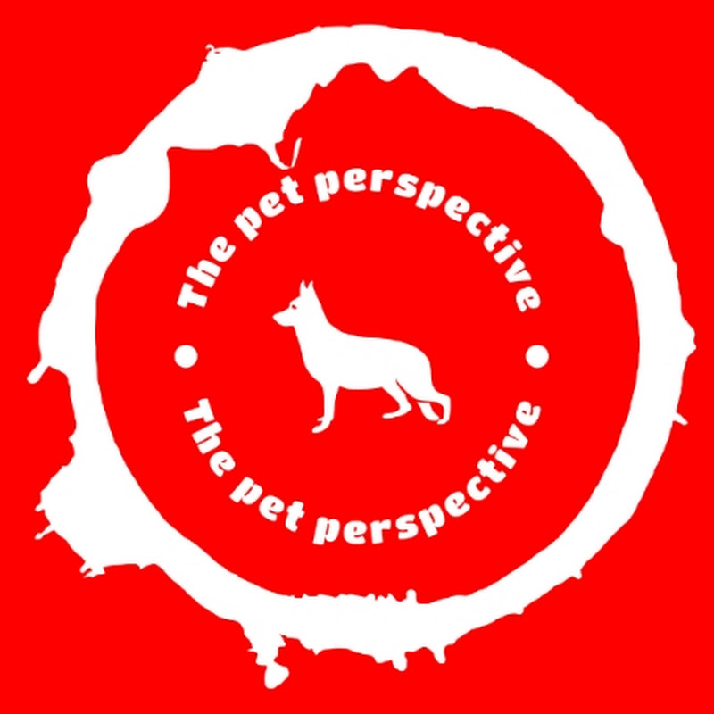The Pet Perspective