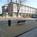Ceip Tenerías
