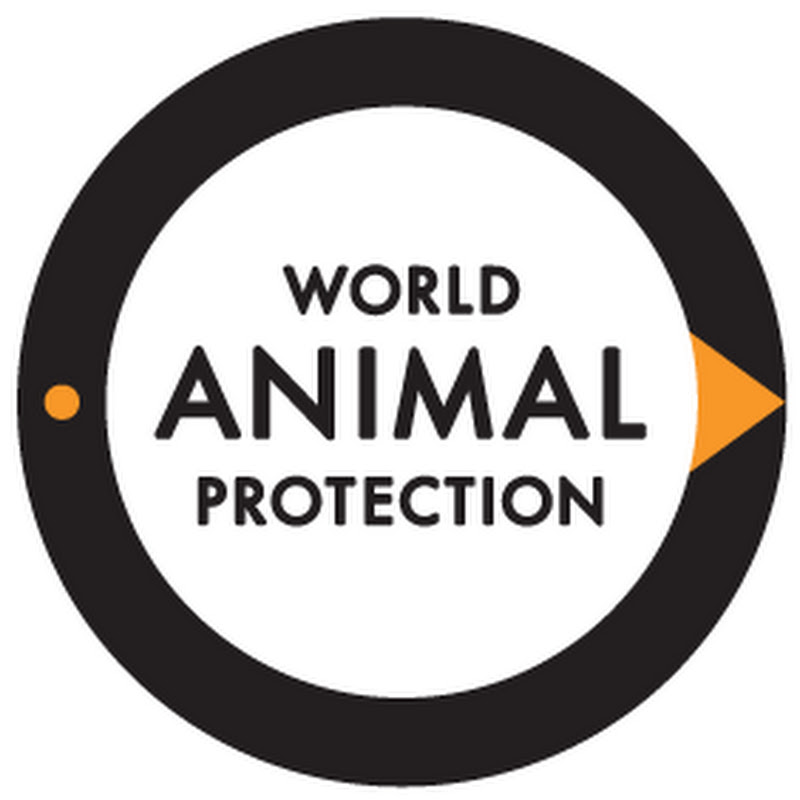 World Animal Protection Sverige