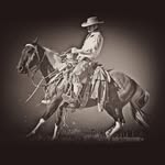 Ben Longwell ~ Horseman & Educator