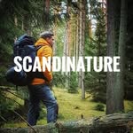 Finn ↟ Scandinature