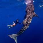 Lombok Guide