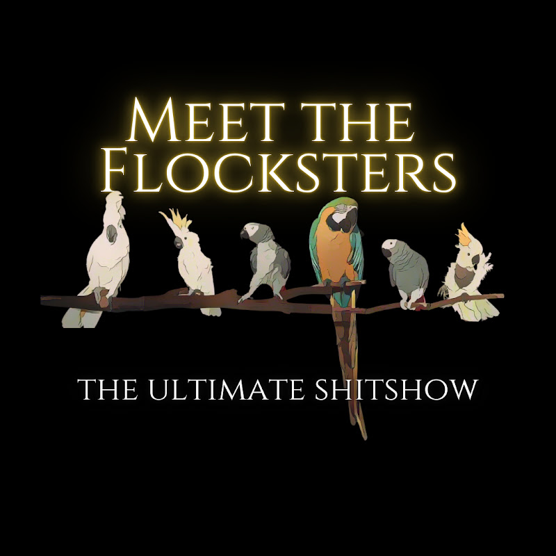 Flocksters