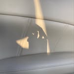 omn___24