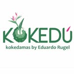 Kokedu | Plantas | Kokedama