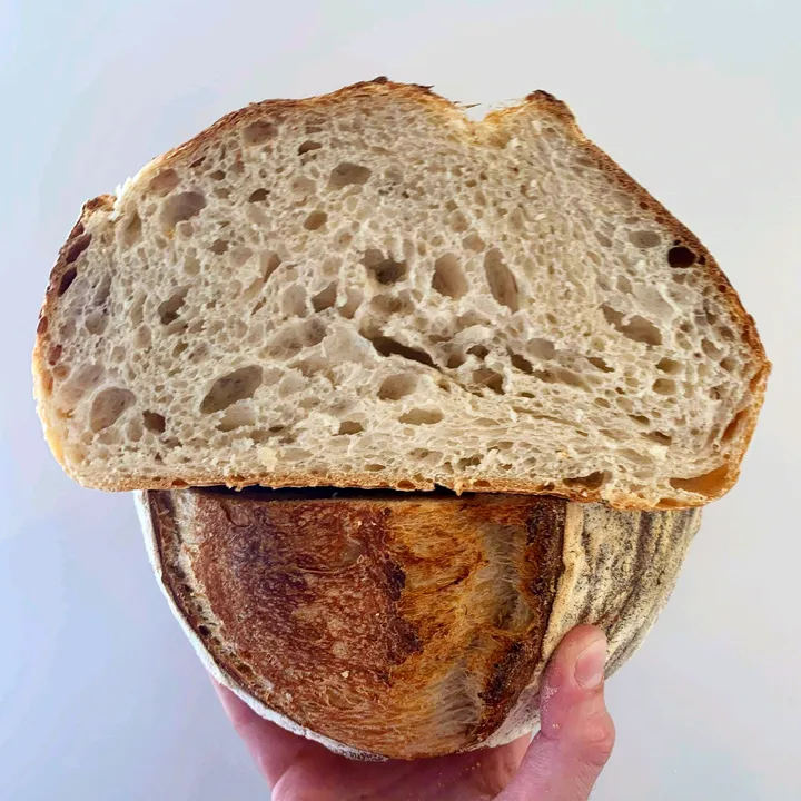 You Knead Sourdough