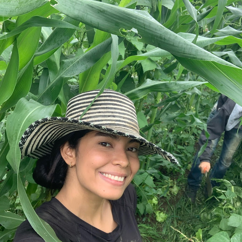 Descubriendo el campo colombiano