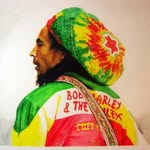 酷奇王 Coolgang e/acc⚡️