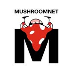 Mushroom net🍄