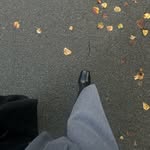 𝐀 𝐂 𝐇 𝐘 𝐋 𝐈 𝐀®