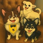 Chihuahuas do Apê