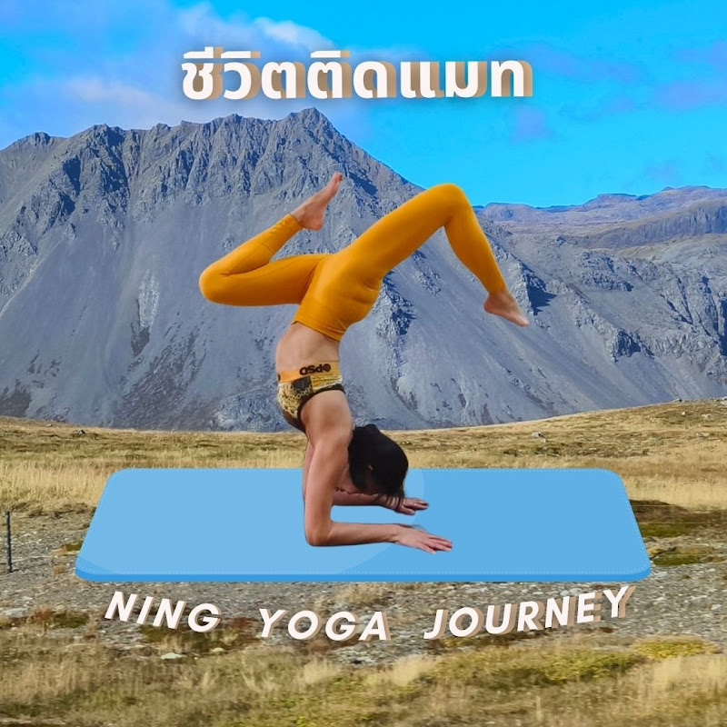 Ning Yoga Journey ชีวิตติดแมท
