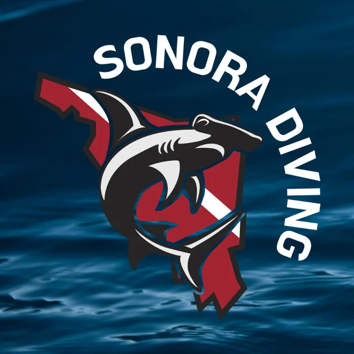 Sonora Diving