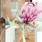 Youniq Gifts and Accessories