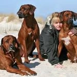 Heike Jäger