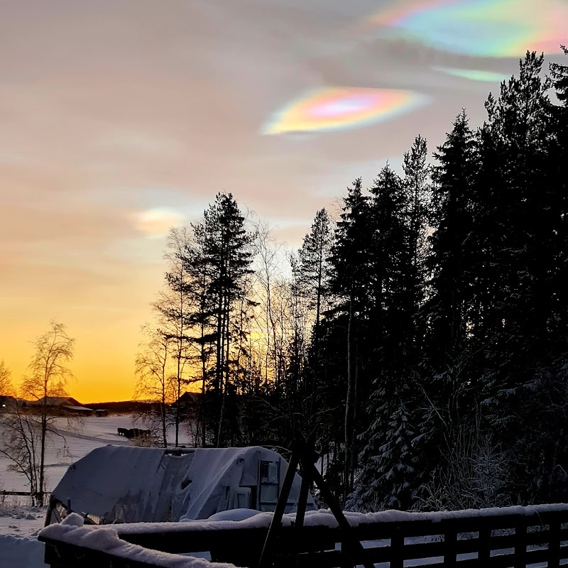 The Nordic Green Witch