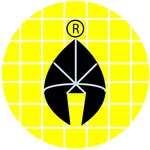 Luciana Andrea Sessa ® Industrial Designer