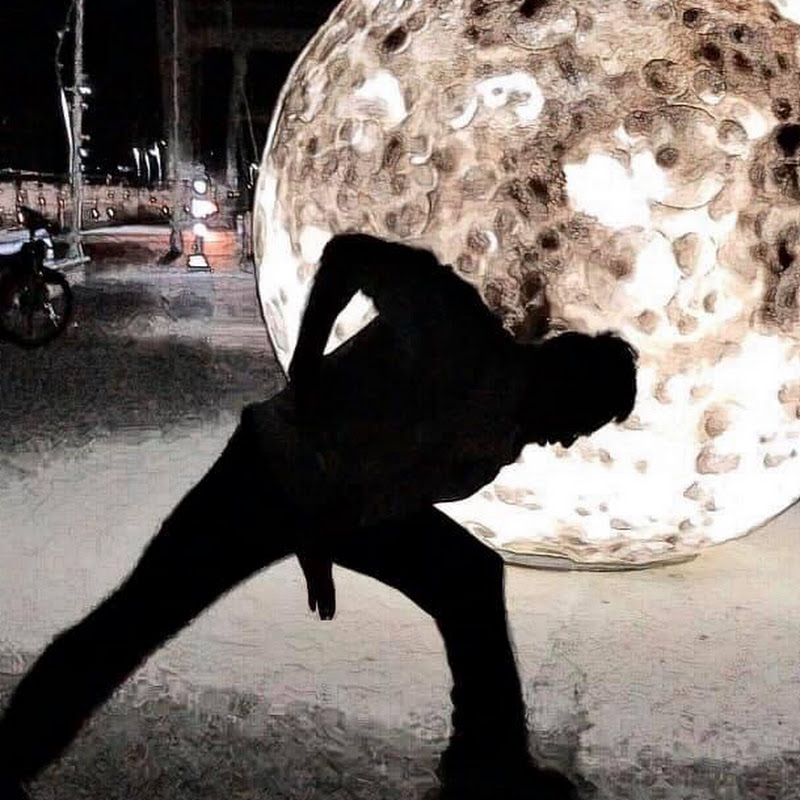 奇拉拉 Qi La La 《Wing Chun /XinYi LiuHe》