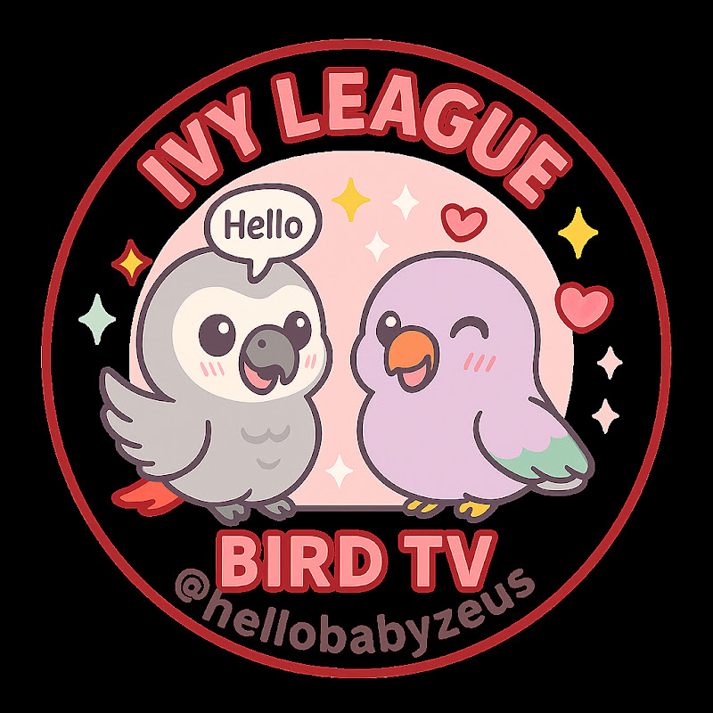 Baby Zeus & Ozzie 🍎Ivy League Bird TV